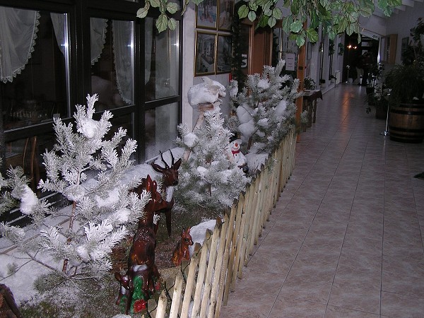 Guben 2006