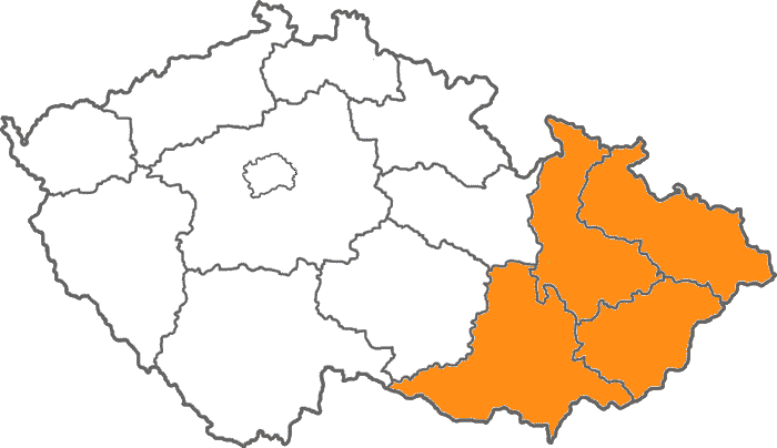 1MS_liga_0203 (13K)